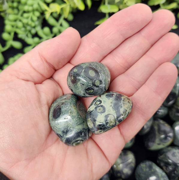 Kambaba Jasper (1kg/2.2 lbs.) Tumbled Approx. 30-35mm