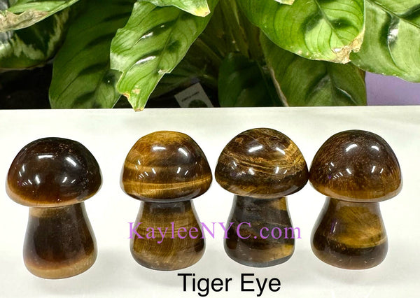 Natural mix Crystal Mushrooms 3.5cm Crystal Healing