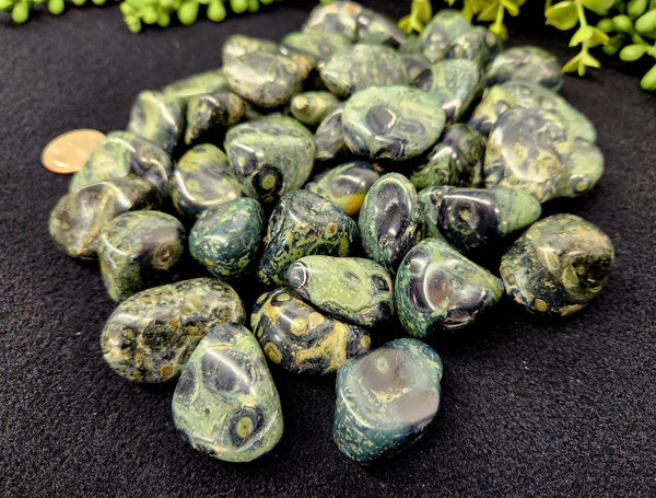 Kambaba Jasper (1kg/2.2 lbs.) Tumbled Approx. 30-35mm