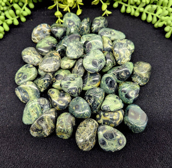 Kambaba Jasper (1kg/2.2 lbs.) Tumbled Approx. 30-35mm