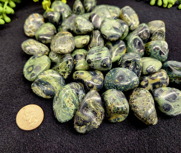 Kambaba Jasper (1kg/2.2 lbs.) Tumbled Approx. 30-35mm