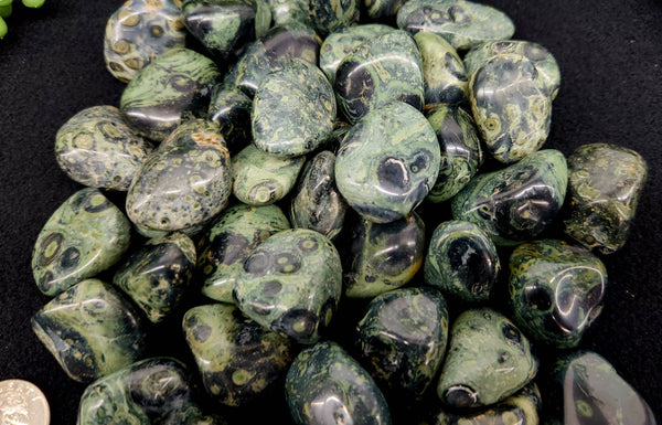 Kambaba Jasper (1kg/2.2 lbs.) Tumbled Approx. 30-35mm