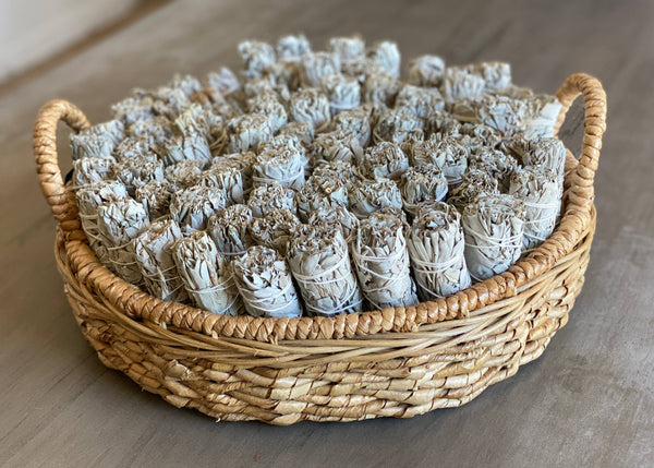White Sage Smudge Sticks in Bulk