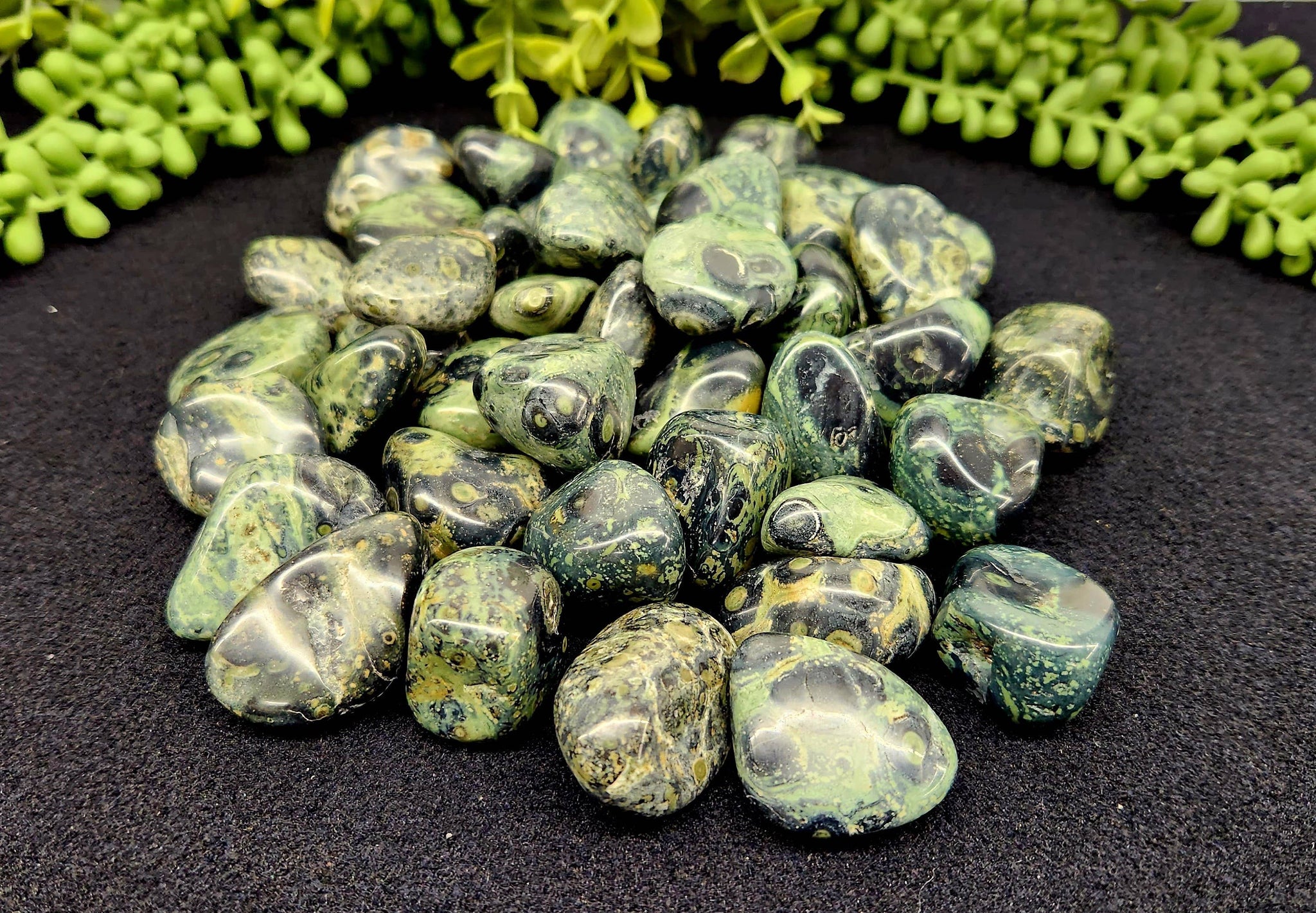Kambaba Jasper (1kg/2.2 lbs.) Tumbled Approx. 30-35mm