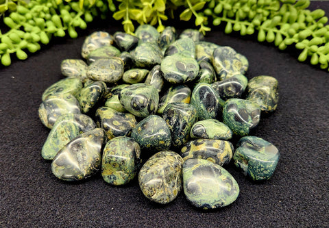 Kambaba Jasper (1kg/2.2 lbs.) Tumbled Approx. 30-35mm