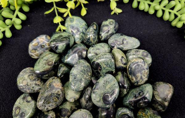 Kambaba Jasper (1kg/2.2 lbs.) Tumbled Approx. 30-35mm