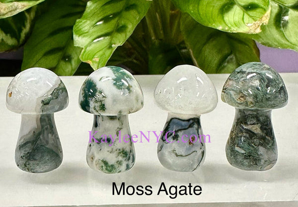 Natural mix Crystal Mushrooms 3.5cm Crystal Healing