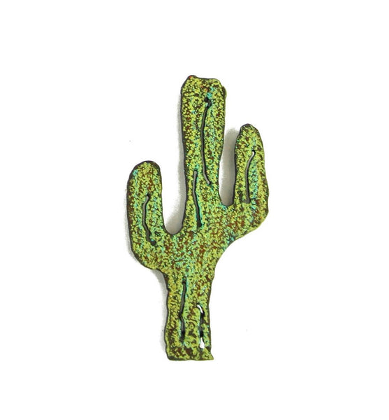Cactus magnet Yucca Valley Summer Sedona Southwestern USA