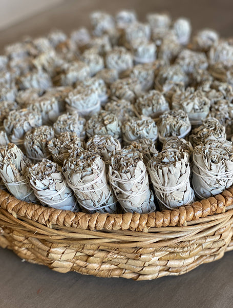 White Sage Smudge Sticks in Bulk